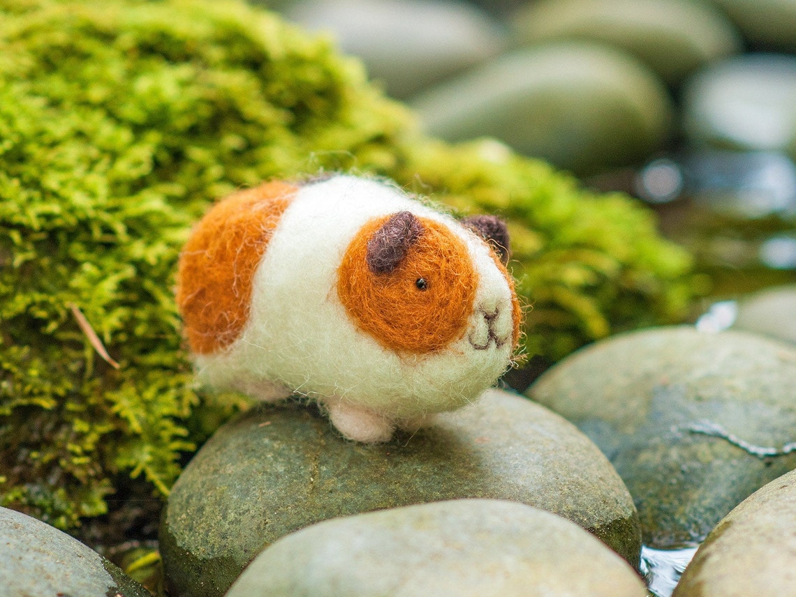 Needle Felting Kit Guinea Pigs DIY Beginner Felting KIT Etsy