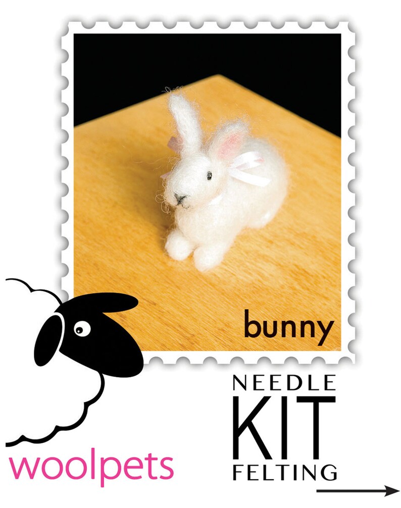 Bunny Needle Felting Kit - Etsy