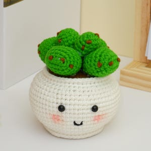 Op de afbeelding: Een handgemaakte gehaakte vetplant in een witte pot met een lachend gezicht. De groene vetplant heeft bruine accenten. Een houten kalender toont "JUN". Een wit boek staat op de achtergrond.