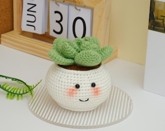 Teacher Gift Crochet Pattern, Crochet PDF, Mini Plant Pot, Office Desk Decor, Crochet Plant, Digital Gift for Boss, Easy Amigurumi Pattern