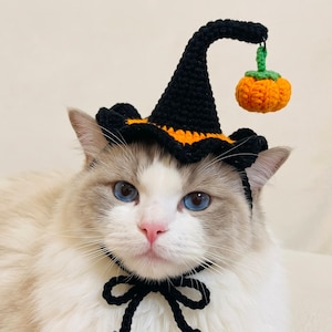 Könnte beinhalten: Ein gehäkelter schwarzer Hexenhut mit orangefarbenem Rand und einem kleinen orangefarbenen Kürbis, der an der Spitze hängt. Der Hut hat ein schwarzes Kinnband, das zu einer Schleife gebunden ist und für eine Katze mit weißem Fell gedacht ist.