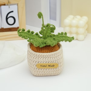 Fern Plant Pot Crochet PDF Pattern - Crochet Plant Pot Amigurumi, How to Crochet Plant Pot, Plant Crochet Pattern, Crochet Home Decoration