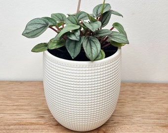 Indoor pot plant with hidden drip tray, flower pot | Grid Planter |