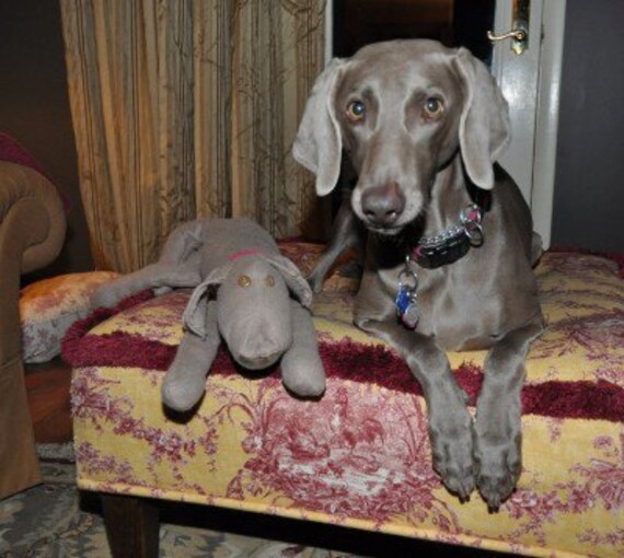 Items similar to custom dog doll made from your photo on Etsy