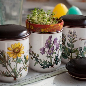 Villeroy & Boch Botanica Jar - Etsy