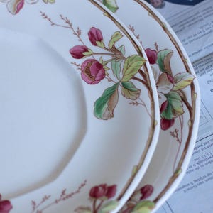 Timeless vintage Villeroy & Boch plates - set of 2 Portobello design plates made In Germany, antique floral dinner plates, vintage porcelain