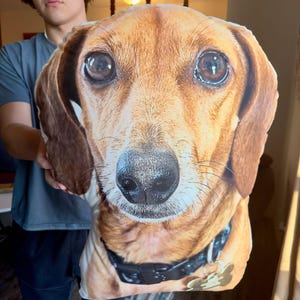 Custom Shape Pillow Dog Picture, Custom 3D Pet Pillow from Photo, Personalized Dog Shaped Throw Pillow, Custom Dog Pillow,Dog Picture Pillow