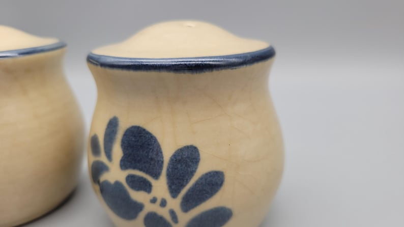 May include: A pair of ceramic salt and pepper shakers. The shakers are beige with a blue floral design and a blue rim. The lids have a small hole for dispensing the contents.