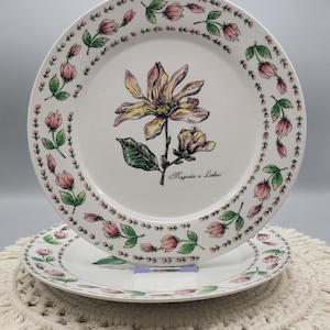 Vintage Magnolia Dinner Plate - Botanical Gardens by Tabletops Unlimited - 10.5 Inch Plates - Circa 1980s