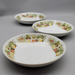 Vintage Spice of Life- Set of pasta soup bowls Matches the corelle  corning ware collection retro kitchen dinnerware
