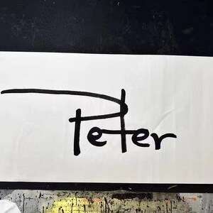 Name in chinesischer Kalligraphie. handgefertigt von einem professionellen Kalligraphen