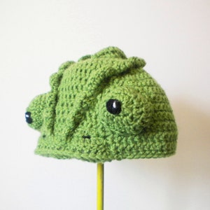 May include: Green crocheted hat shaped like a chameleon with black eyes.