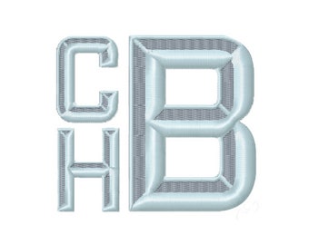 2" inch Bevel Two Tone Modern Type Embroidery Font Herrington Design BX instant download PES BX All Formats