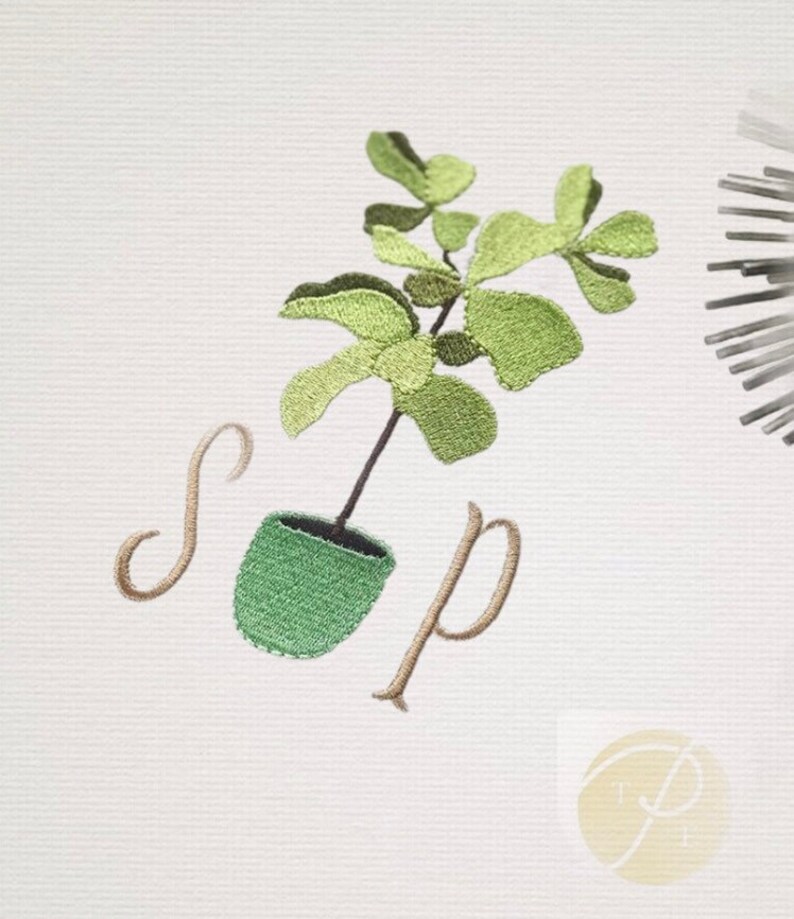 Fiddle Leaf Fig Embroidery Design Instant Download Font Plant Etsy