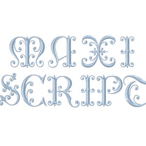 3 "pulgadas Maxi Script Fishtail Curl Fancy Embroidery Machine Font Herrington Design Monogram Fonts Instant Download PES BX