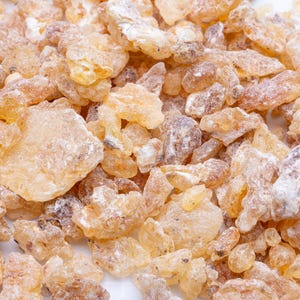 Frankincense Frereana Mushaad | Wild-Harvested Maydi Resin | Top Grade Chewing Frankincense | Deep Citrus Balsamic Aroma