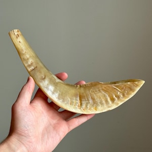 Vintage Judaica Shofar Horn