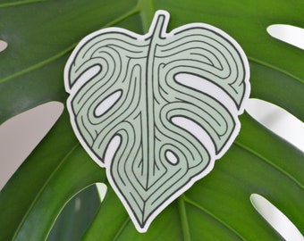 Monstera Split Leaf Maze Sticker | Premium Die Cut Vinyl | 3 x 3.5 inches | Green Philodendron Houseplant Decal