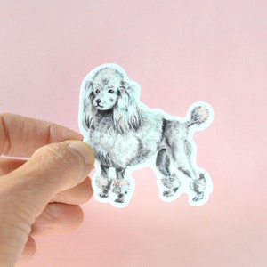 filhote de cachorro da caniche/cão bonito ilustrou adesivo de vinil | 2,5 x 2,75 polegadas