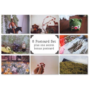 Lot de 8 cartes postales | Film argentique + Bonus