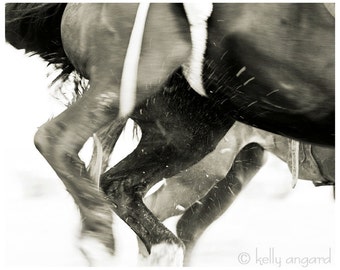 Horse Photo - black and white horse photograph - 8x10 photography, two running horses, rodeo nature - home decor