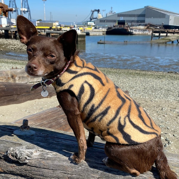 Tiny Tiger Fleece Dog Sweater | Dog Coat, Dog Jacket, Dog Jumper, Dog Pullover, Small Dog, Fleece