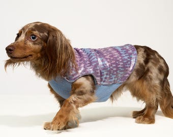 Pastel Pulse Dog Coat | Shimmering Spandex, Fleece Lined