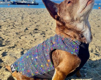 Summer Disco Holographic Dog Shirt | Rave, Festival, Small and Large Breeds