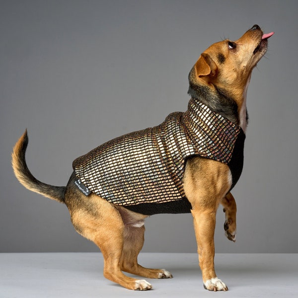 Solid Gold Holographic Dog Sweater | Dog Coat, Dog Jacket, Dog Jumper, Dog Fleece, Dog Clothes, Rave, Festival