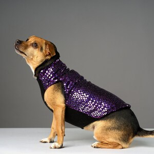 Jeannie sanke dog hair etsy 2025
