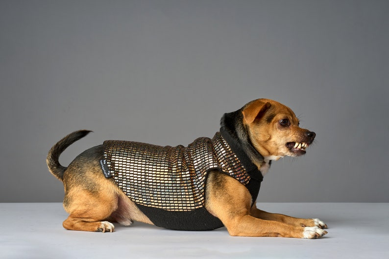 Holographic Solid Gold Disco Dog Sweater Dog Coat, Dog Jacket, Dog Jumper, Dog Fleece, Dog Clothes, Rave, Festival image 3