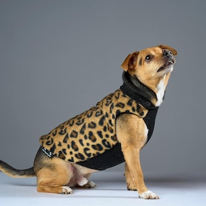 Little Leopard Fleece Dog Sweater | Warm Dog Coat, Dog Jacket, Dog Costume, Dog Clothing, Pet Apparel