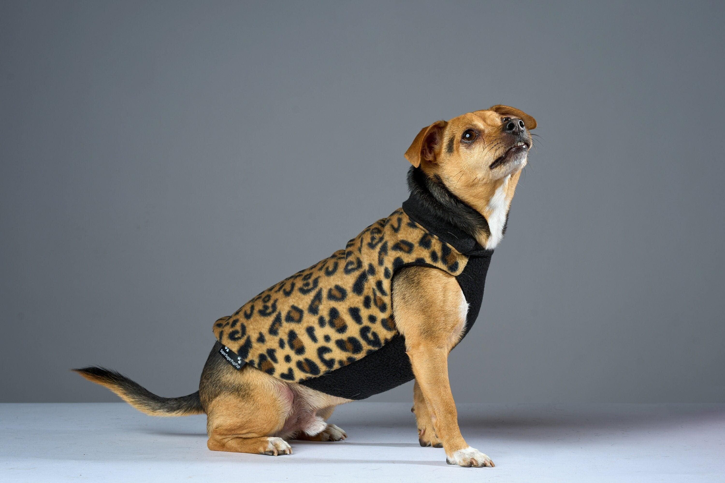 Animal Print Leopard Print Dog Coat Leopard Dog Coat Canada