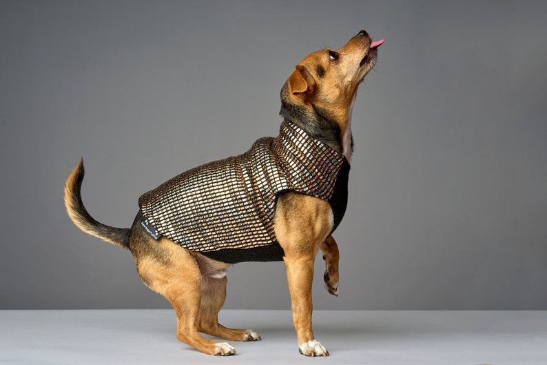 Holographic Solid Gold Disco Dog Sweater Dog Coat, Dog Jacket, Dog Jumper, Dog Fleece, Dog Clothes, Rave, Festival image 1