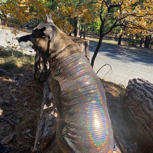 Holographic Solid Gold Disco Dog Sweater Dog Coat, Dog Jacket, Dog Jumper, Dog Fleece, Dog Clothes, Rave, Festival image 5