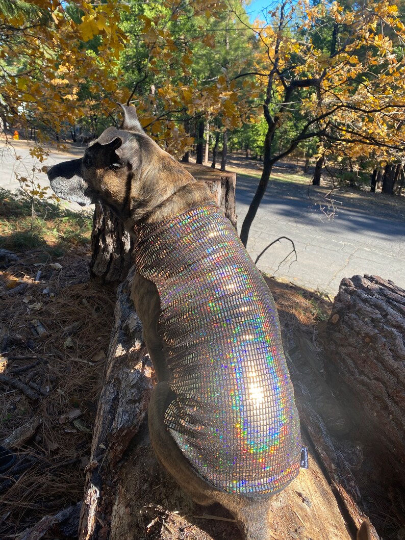 Holographic Solid Gold Disco Dog Sweater Dog Coat, Dog Jacket, Dog Jumper, Dog Fleece, Dog Clothes, Rave, Festival image 5