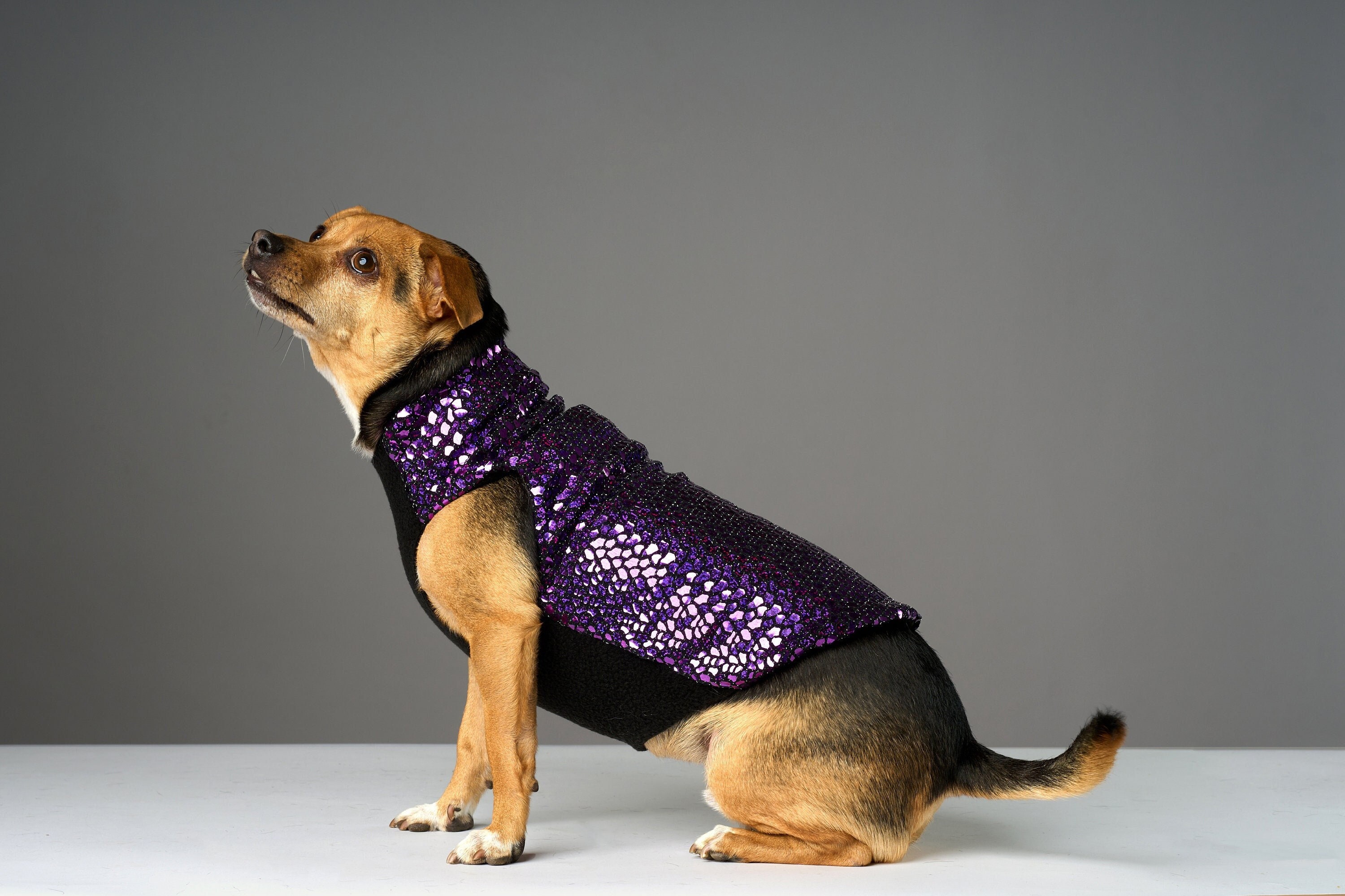 Light up dog sweater deals