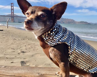 Gold Rush Coat | Fleece Lined, Rave, Festival, Small and Large Breeds
