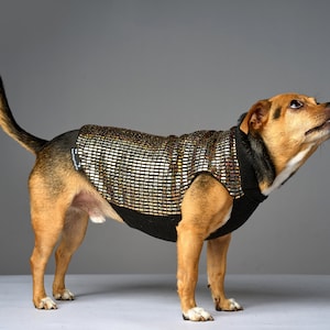 Holographic Solid Gold Disco Dog Sweater Dog Coat, Dog Jacket, Dog Jumper, Dog Fleece, Dog Clothes, Rave, Festival image 2