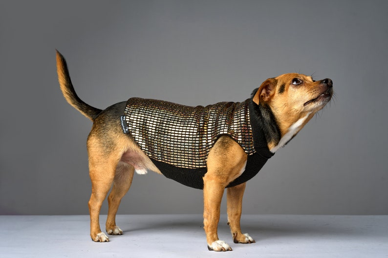 Holographic Solid Gold Disco Dog Sweater Dog Coat, Dog Jacket, Dog Jumper, Dog Fleece, Dog Clothes, Rave, Festival image 2