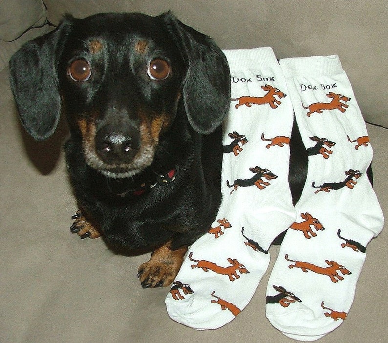 Dachshund Socks Wahoo Wieners Dox Sox