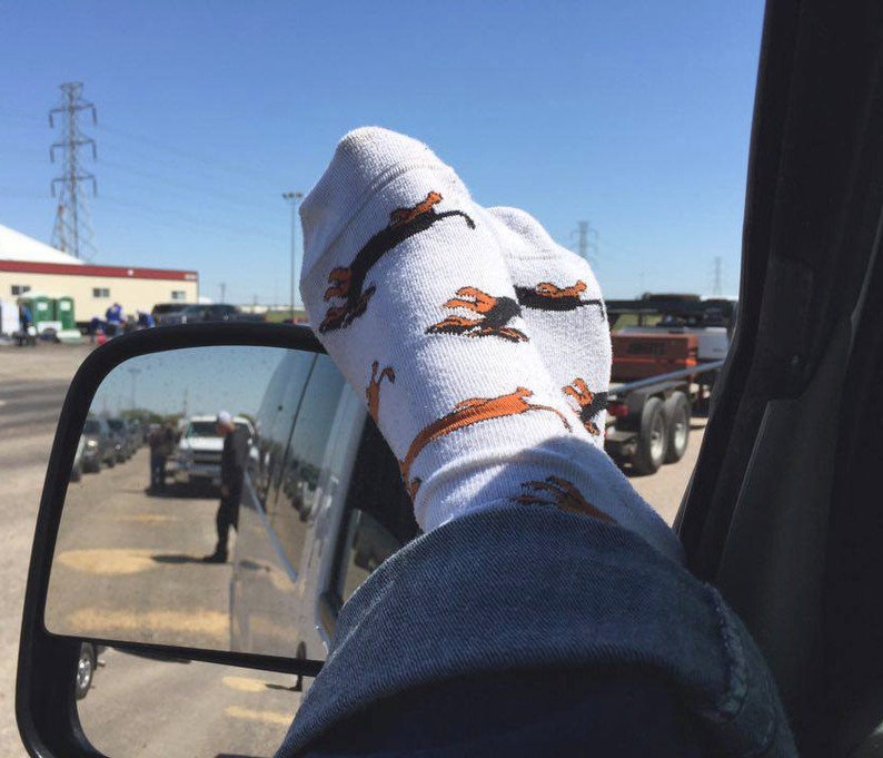 Dachshund Socks Wahoo Wieners Dox Sox