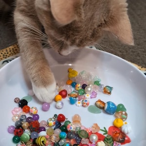 Katten Cheetos handgjorda armband med signerat kort och klistermärken