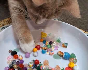 Cheeto the Cat's Handmade Bracelet With Signed Card & Stickers