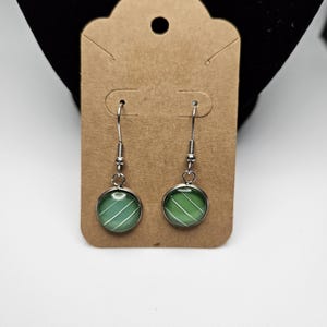 Stainless Steel Dangle Earrings with Real Cat Whisker