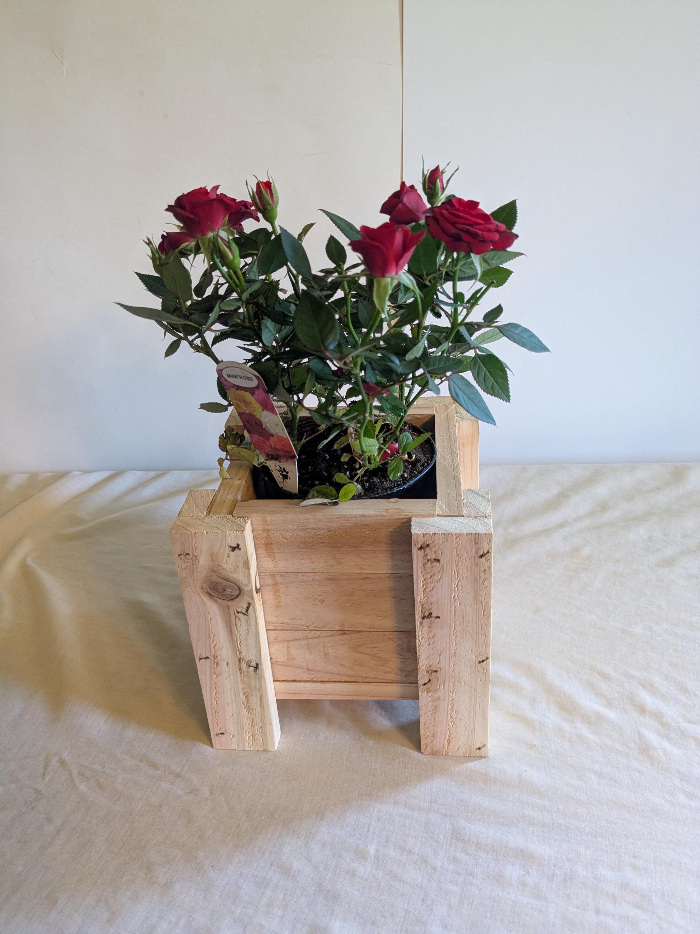 手作りの杉材製プランター、屋内・屋外使用可能、植物ホルダー 