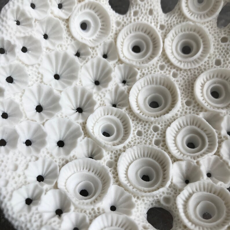 Pure white coral lace porcelain dish