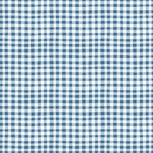 Puede incluir: Un patrón sin costuras con un diseño de cuadros de vichy azul y blanco. El patrón consiste en líneas que se cruzan formando una cuadrícula de cuadrados. La combinación de colores es azul claro y blanco, creando un aspecto simple pero clásico.