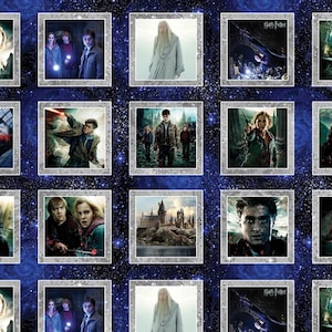 May include: A fabric panel with multiple framed images from the Harry Potter films. The images are set against a dark blue background with a starry pattern. The frames have a silver border.