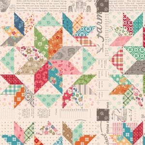 Puede incluir: Una tela de patchwork con un patrón de estrellas repetidas. Las estrellas están compuestas por varias telas estampadas en tonos de rosa, azul, verde, naranja y marrón. El fondo es de color beige claro con pequeños elementos florales y textuales.